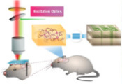 Journey of NQM's Quantum Sensing and Metrology Hub with lab grown technologies at IIT Bombay