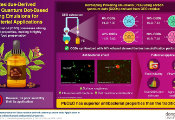 Dongguk University Researchers Create Clove Essential Oil-Based Pickering Emulsions