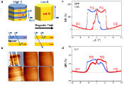 Researchers Propose Novel Spin-Valve Mechanism Using Kagome Quantum Magnets