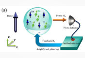 Researchers Observed Time Crystal in Spin Maser System