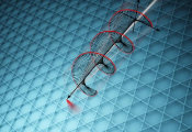 Scientists Discover an Unusual Chiral Quantum State in a Topological Material