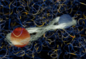 Brown University Undergraduates Harness ‘Spooky’ Quantum Effects for 3D Holography Imaging