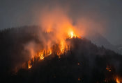 Army Researchers Tap Quantum Computing to Optimize Wildfire Prevention