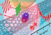 Catching Excitons in Motion—Ultrafast Dynamics in Carbon Nanotubes Revealed by Nano-Infrared Spectroscopy