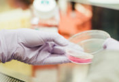 Quantum Forward Challenge in Life Sciences & Health