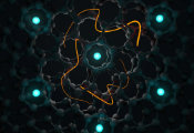 Magic-Angle Twisted Bilayer Graphene Hosts Two Distinct Electronic Species