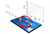 Harnessing Magnons for a Quantum Computing Future