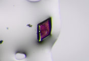 Symmetrical Crystals Can Absorb Light Asymmetrically