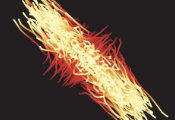 Using Machine Learning to Understand Fundamental Structures of Quantum Mechanics
