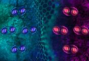 MIT Physicists Discover a New Type of Superconductor That’s Also a Magnet