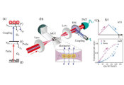 USTC Reveals Charge Parity Symmetry Breaking in Rydberg Atom Multi-Body Systems