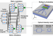 Demonstration of Waveguide-Multiplexed Silicon Photonic Matrix Processor: Paving the Way for Massively Parallel Optical Computing for AI