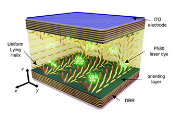 New Photonic Platform Developed by Polish Research Team