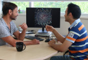 Quantum Discovery Reveals How Enzymes Tame Free Radicals