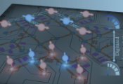 Quantum Computer Simulates Spontaneous Symmetry Breaking at Zero Temperature