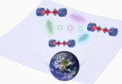 Quantum Networks Can Probe General Relativity on Earth
