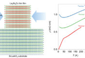 Unveiling the Link Between High Pressure and Superconductivity