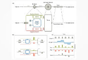 NIST Researchers Demonstrate That Superconducting Neural Networks Can Learn on Their Own