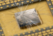 Researchers Spy Finish Line in Race for Majorana Qubits