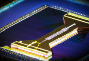 Using a Quantum Computer to Simulate a Quantum Process