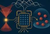 A Blueprint for Error-Corrected Fermionic Quantum Processors