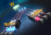 Measuring the Quantum W State