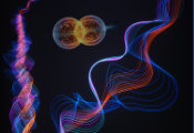 Physicists Discover a Correlated Topological Excitonic Insulator With Novel Quantum Properties