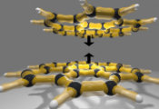 The Power of Geckos: TU Wien Solves the Puzzle of Large Molecules