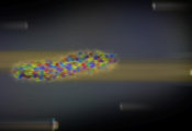 LHCb: Triplets Born From Proton Collisions Are Correlated With Each Other