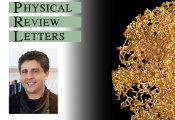Twice Around to Return Home: A Hidden Reset Button for Spins and Qubits