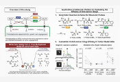 Simultaneous In Vivo Detection of Multiple Aminopeptidase Activities Using Quantum Sensing Technology