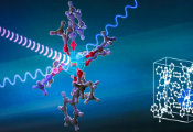 Optical Control of Nuclear Spins in Molecules Points to New Paths for Quantum Technologies