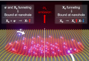 Bright Quantum Light Emission Achieved at Room Temperature in 2D Semiconductors