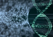Building a Superconducting Quantum Circuit That Follows Protons on the Go