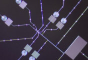 EeroQ Makes World-First Breakthrough in Electron Qubits Floating on Helium
