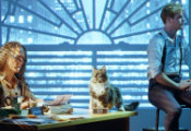 ‘Don’t Scare the Cat!’ Engineers Find Smarter Way to Measure Quantum Systems