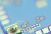 QScale: New Signal Technology Is Being Developed in Finland to Scale Quantum Applications