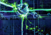 Quantum Entanglement: Schrödinger’s Anthill