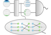 A New Kind of Entanglement Helps Quantum Sensors Tune Out Noise