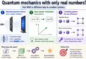 Does Quantum Mechanics Need Complex Numbers?