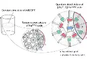 From Quantum Error Correction to Emergent Gravity: Probing Holographic Universes at QLab