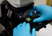 Quantum Material Opens New Path for Studying Unusual Electronic Behavior