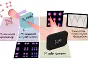 Quantum Properties of Multimode Light Observed Despite Extreme Losses