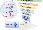 SKKU Identifies World’s First ‘Zinc Oxide Spin Qubit’ — a Breakthrough for Semiconductor-Based Quantum Technology