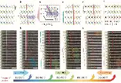 Researchers Develop Layer-Sliding Strategy to Engineer Quantum States in 2D Materials
