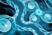 Quantum Effects Go Macro: Collaboration Unravels the Ultra-Quantum Realm