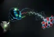 Zooming In: Electron Orbitals Photographed in 3D