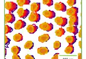 Scientists Watch Antiferromagnetic Skyrmions Interact in Real Time