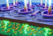 Breakthrough in Tuneable ‘Super-Mode’ Lasers Could Help Advance Photonic Computing