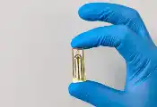 Technology Uses Quantum Properties to Accelerate the Search for New Drugs